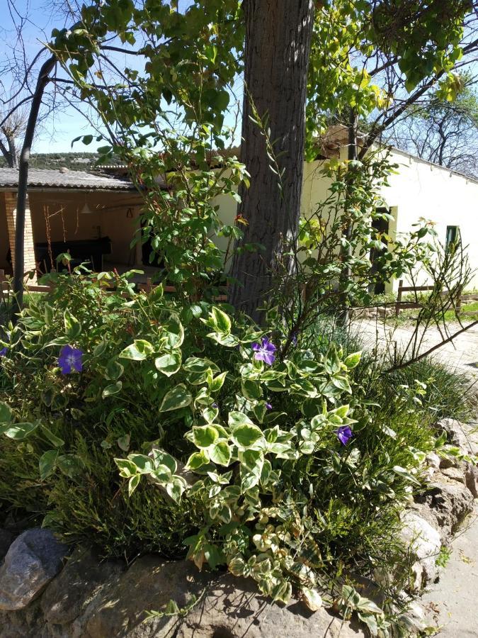 Camping Yaso-Guara 外观 照片